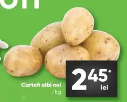 PROFI Cartofi albi noi Ofertă
