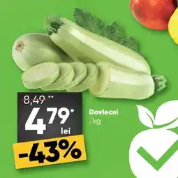 PROFI Dovlecei Ofertă