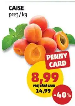 Penny Caise Ofertă