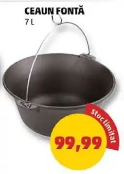 Penny CEAUN FONTĂ Ofertă