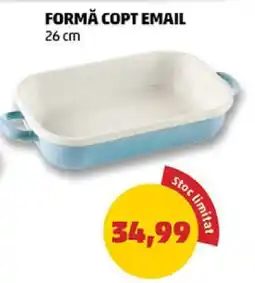 Penny FORMĂ COPT EMAIL Ofertă