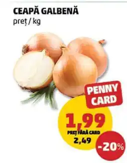 Penny Ceapă galbenă Ofertă