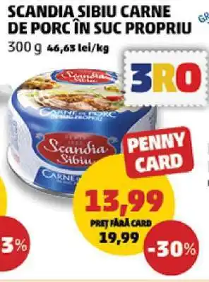 Penny SCANDIA SIBIU Carne de porc în suc propriu Ofertă