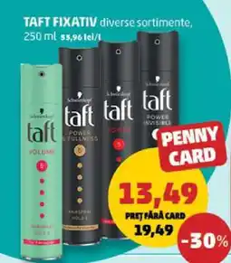 Penny TAFT FIXATIV Ofertă