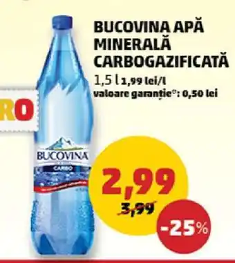 Penny Bucovina Apă minerală carbogazificată Ofertă