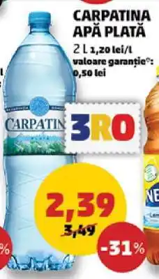 Penny Carpatina Apă Plată Ofertă