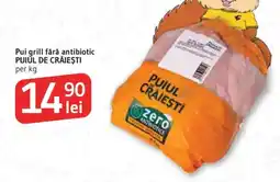 Supeco Pui grill fără antibiotic PUIUL DE CRĂIEŞTI Ofertă