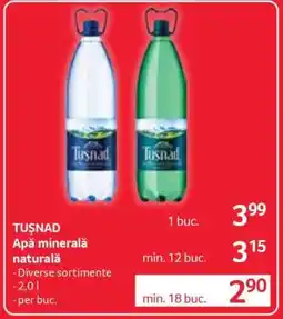 Selgros TUŞNAD Apă minerală naturală Ofertă