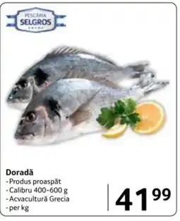Selgros Doradǎ Ofertă