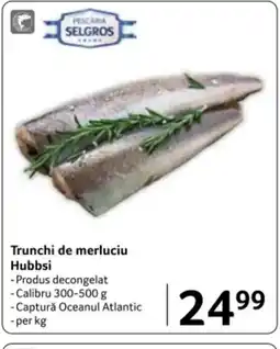 Selgros Trunchi de merluciu Hubbsi Ofertă