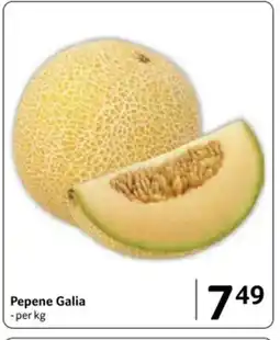 Selgros Pepene Galia Ofertă