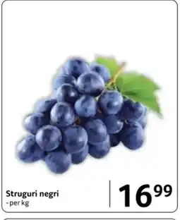 Selgros Struguri negri Ofertă
