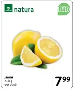 Selgros Lămâi Ofertă