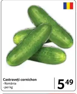 Selgros Castraveţi cornichon Ofertă