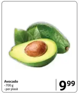 Selgros Avocado Ofertă