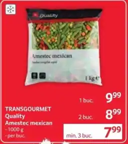 Selgros TRANSGOURMET Quality Amestec mexican Ofertă