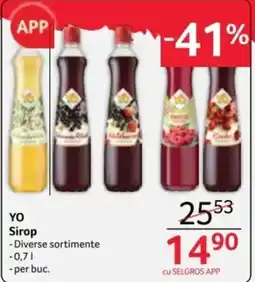 Selgros YO Sirop Ofertă