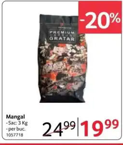 Selgros Mangal Ofertă