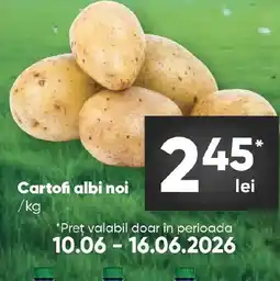 PROFI Cartofi albi noi Ofertă