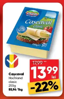 PROFI Cascaval Hochland Ofertă