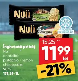 PROFI Îngheţată pe băţ Nuii Ofertă