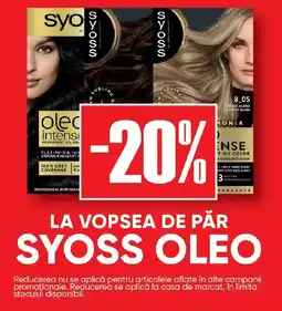 PROFI La vopsea de păr Syoss Oleo Ofertă
