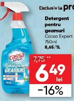 PROFI Detergent pentru geamuri Cassa Expert Ofertă