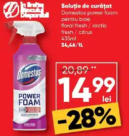 PROFI Soluţie de curățat Domestos Ofertă