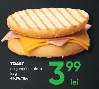 PROFI Toast Ofertă