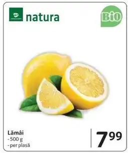 Selgros Lămâi Ofertă