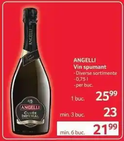 Selgros ANGELLI vin spumant Ofertă