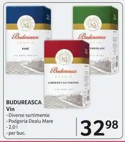 Selgros BUDUREASCA Vin Ofertă
