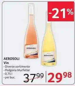 Selgros AEROSOLI Vin Ofertă