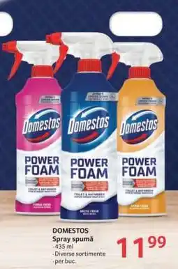 Selgros Domestos Spray Spumă Ofertă