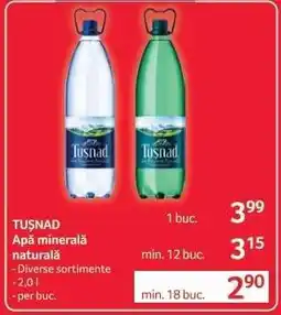 Selgros TUŞNAD Apă minerală naturală Ofertă