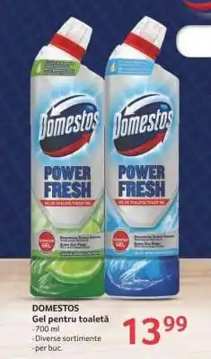 Selgros DOMESTOS Ofertă