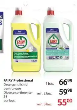 Selgros FAIRY Professional Ofertă