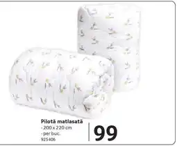 Selgros Pilotă matlasată Ofertă