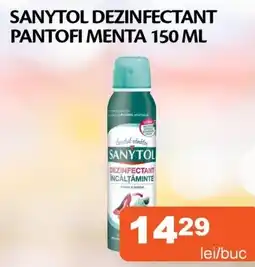 Unicarm Sanytol dezinfectant pantofi menta Ofertă