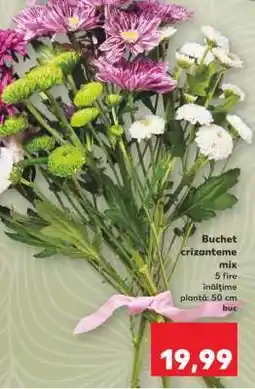 Kaufland Buchet crizanteme mix Ofertă
