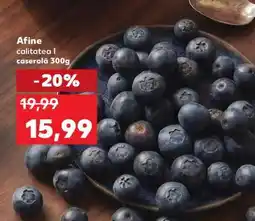 Kaufland Afine Ofertă