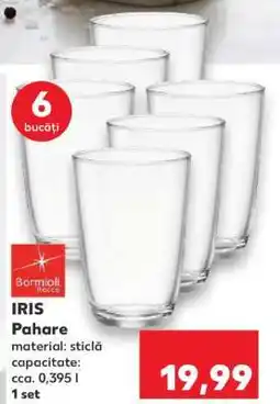 Kaufland IRIS Pahare Ofertă