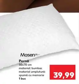 Kaufland Pernă Ofertă