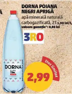 Penny DORNA POIANA NEGRI APRIGĂ Ofertă