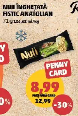Penny Nuii Înghețată Fistic Anatolian Ofertă