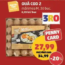 Penny Ouă Cod 2 Ofertă