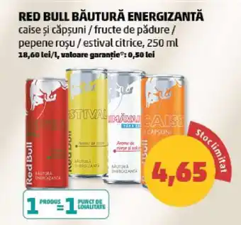 Penny RED BULL Băutură energizantă Ofertă