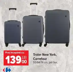 Carrefour Troler New York, Carrefour Ofertă