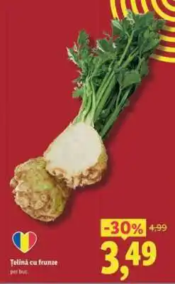 Lidl Ţelină cu frunze Ofertă