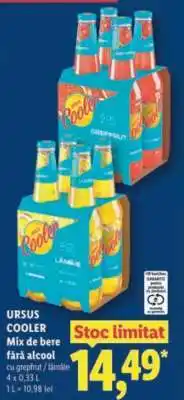 Lidl URSUS COOLER Ofertă